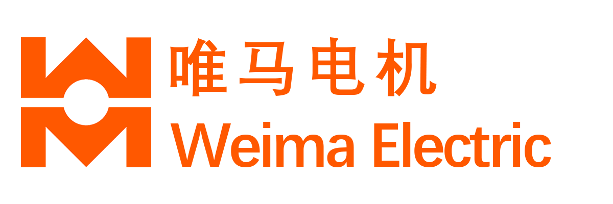 WUXI TECO 无锡高德娱乐电机 | China 中国